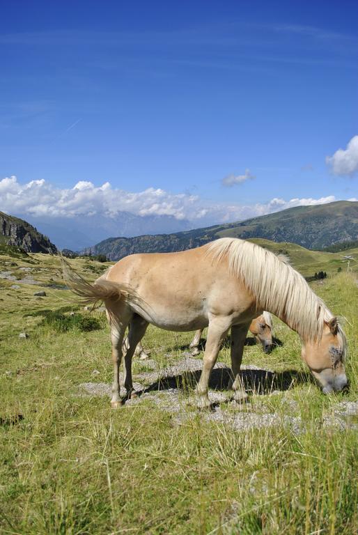 Albergo Legazzuolo Montecampione Artogne Buitenkant foto